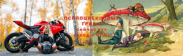 apvp Липки